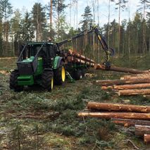 Perkame mišką su žeme, statų mišką, medieną